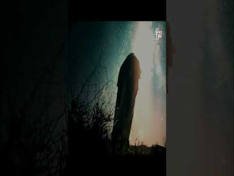 اشياء غريبة كانت تحدث للنبي قبل نزول الوحي تمهيدا للرسالة    