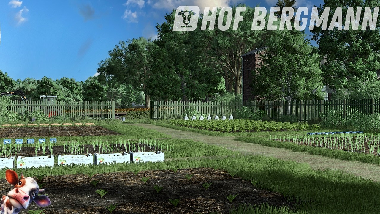 LS25 / Hof Bergmann # 179