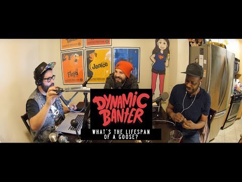 What's the Lifespan of a Goose? - Dynamic Banter Podcast w/ Malcolm Barrett