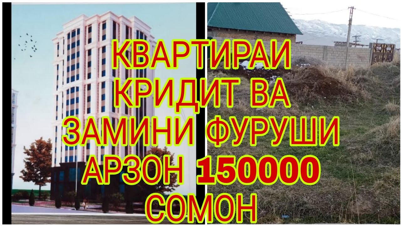 Аренда машин дар душанбе