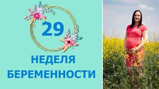 29 Неделя Беременности. Развитие плода и ощущения мамы