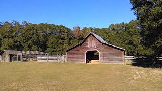 Hike Summary: Landmark Park near Dothan, Alabama
