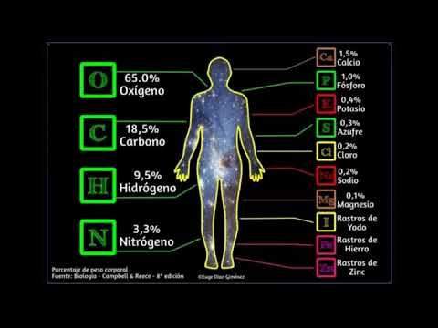 Cuál es el mejor magnesio para el cuerpo humano