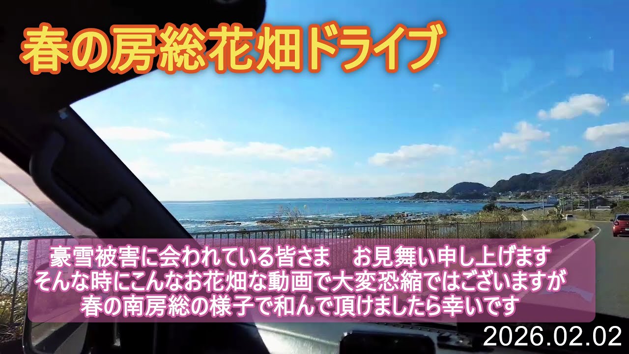 春の房総花畑ドライブ　#鴨川 #菜な畑ロード #白間津花畑 #房総 #南房総 #春の房総