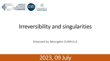 Irreversibility and singularities | Bérangère Dubrulle