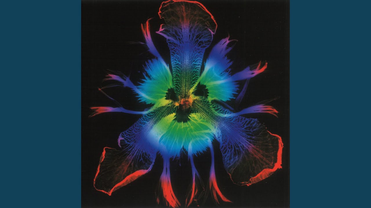 HUMAN GATE (2003 ver.)