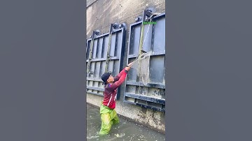 Cá Lớn - bắt Cá Lau Kính mắc kẹt 😱 #khacthuyvlogg