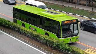 SG1231G(SEDEP) On Service 811 At Yishun Avenue 2