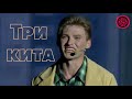 Мотор-Роллер - Три кита (рок-мюзикл &quot;Три дома окнами во двор&quot;)