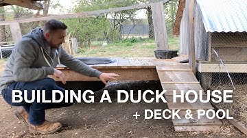 🔨  Building a Duck House w/Deck & Pool On The Farm (coop, pen, run)