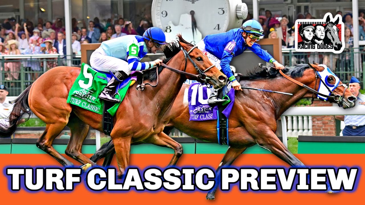2023 Turf Classic Stakes Preview & FREE Picks | Defending Champion ...