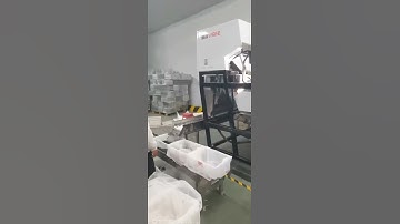 Frozen blueberries sorting, VSEE belt sorter for frozen blueberry