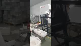 Frozen blueberries sorting, VSEE belt sorter for frozen blueberry