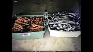 Scrapping, stripping, and sorting copper and aluminum wire to make MORE money!!