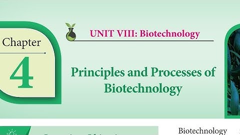4.Priciples and Processes of Biotechnology (book back answers)/12th std Bio-botany
