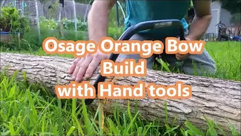 Building an Osage Orange self bow, splitting staves and tiller, ((( FAIL )))