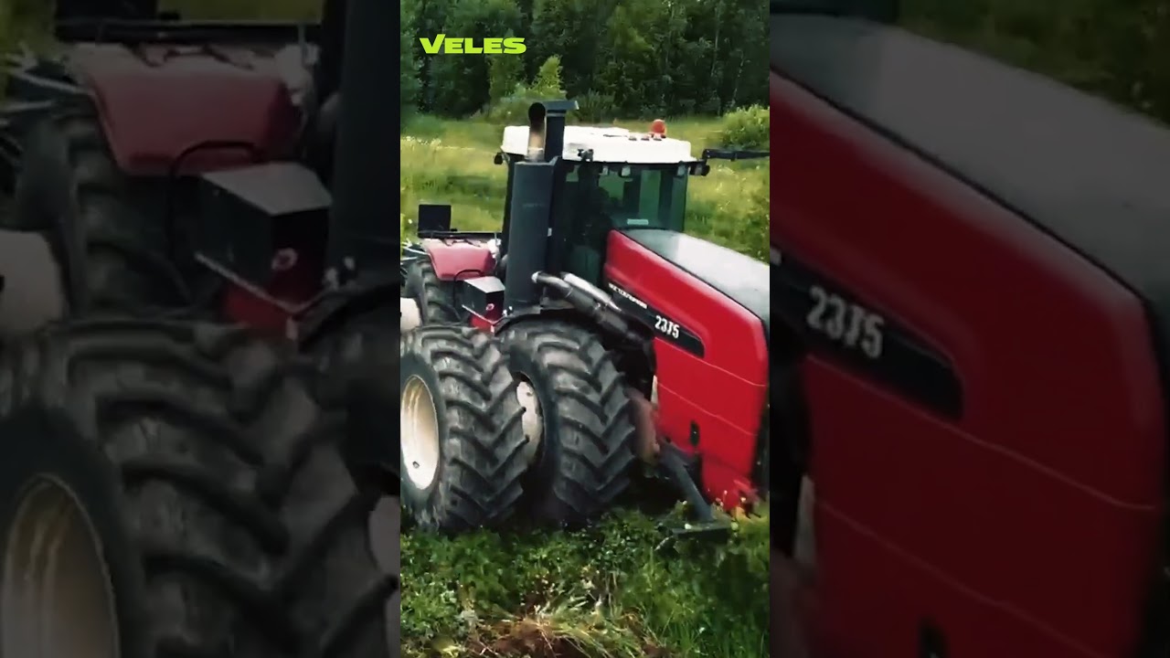 VELES БДТ валит лес как спички 