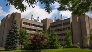 McMaster Fall Preview