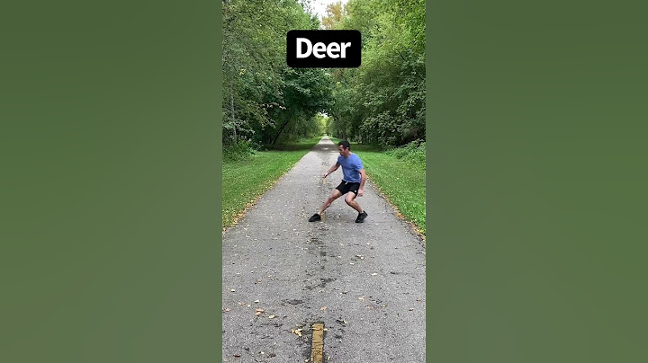 How Animals Would Run if They Were People.