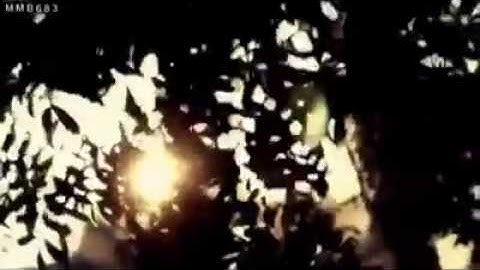 من حافظ على الاذكار صباح ومساء
