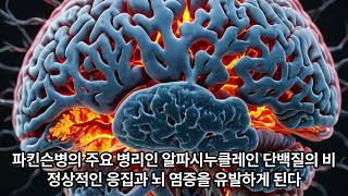 파킨슨 비타민 #파킨슨병 #알츠하이머 #NSADs #소염진통제 #위장관  #타이레놀 #부작용 #암 #치매 #우울증  #깨달음 #우울증해소 #명상 #우울증