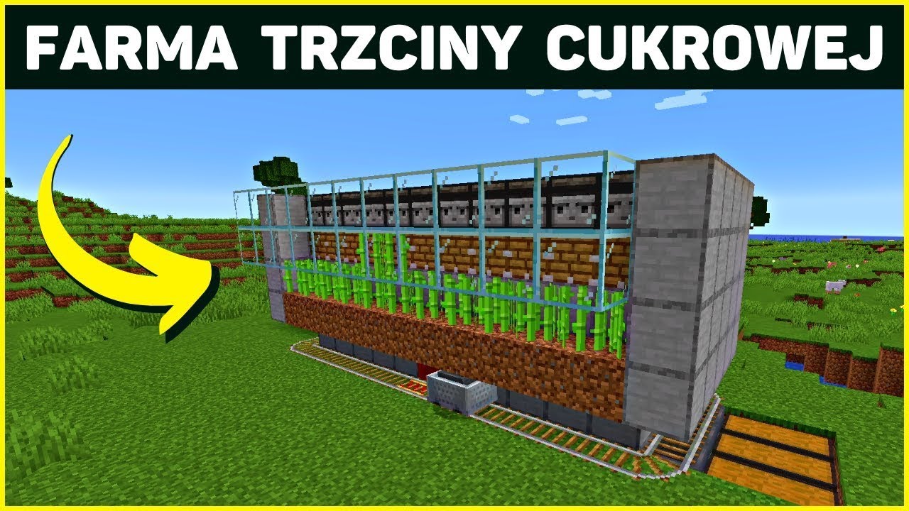 Jak Zrobić Farme Dyń W Minecraft Automatyczna Farma trzcina cukrowa Minecraft +1.19 - YouTube