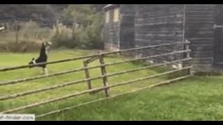 САМЫЕ ТОПОВЫЕ ПРИКОЛЫ ДЕКАБРЬ 2018, СМЕШНО ДО СЛЕЗ, РЖАКА ПРИКОЛЮХА САМЫЕ ТОПОВЫЕ ПРИКОЛЫ ДЕКАБРЬ 2018, СМЕШНО ДО СЛЕЗ, РЖАКА ПРИКОЛЮХА