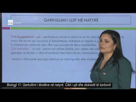 Video: Cili është cikli i ujit në biologji?