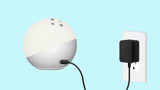 Amazon Alexa: How To Set Up Your Echo Dot screenshot 5