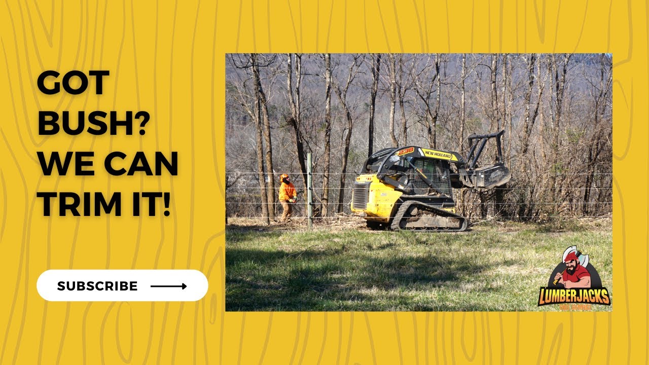 Got Bush?  We Can Trim It!