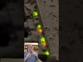 Esto acaba con todo Virus en tu Red