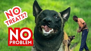 How to Train Your Dog WITHOUT TREATS… CORRECTLY