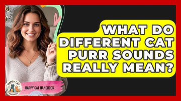 What Do Different Cat Purr Sounds Really Mean? - Happy Cat Handbook