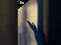 مظلوم ربي بنصرك ويأخذ حقك بإبداع تجارب بودكاست ترند قصه راحه نفسيه اكسبلور نصائح ولد بنت قرآن مظلوم ربي بنصرك ويأخذ حقك بإبداع تجارب بودكاست ترند قصه راحه نفسيه اكسبلور نصائح ولد بنت قرآن