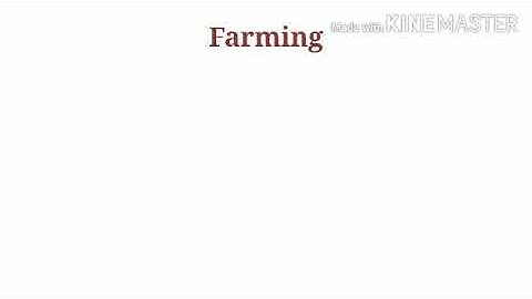 Xseed | Grade 3 | EVS | Block 12 | Lesson 2