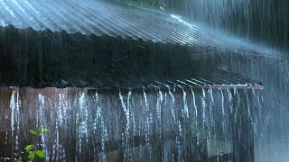 24/7 Sleep Rain on Tin Roof - Relaxing Night Thunder & Heavy Rain Sounds for Sleep