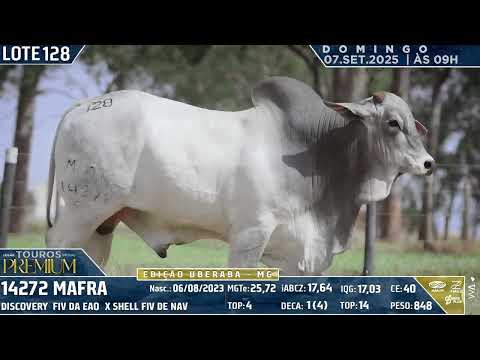 LOTE 128