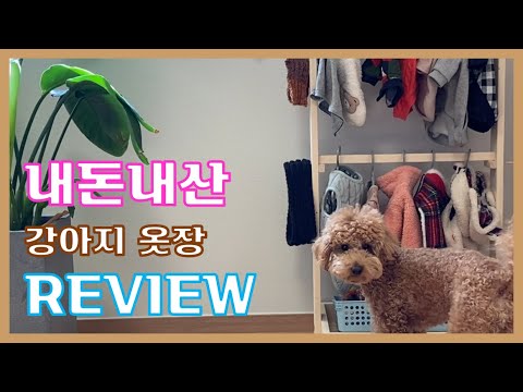 다들하나씩 가지고 계시죠? 강아지 옷장 내돈내산 리뷰 [스타일우드 강아지 옷장]