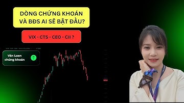 Kịch bản tạo đáy đang hình thành: Dòng chứng khoán và BĐS ai sẽ bật đầu?VIX, GEX, CEO, CII...