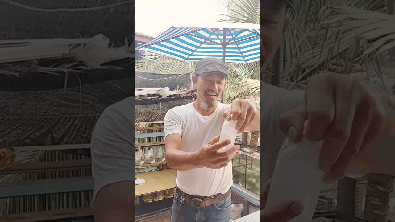 12 ธันวาคม ค.ศ. 2025