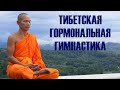 Тибетская гормональная гимнастика