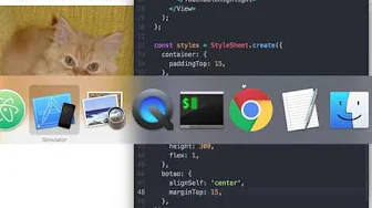cursos/0003-pesquisa-de-imagens-react-native: Retoques do Estilo do Componente de Detalhes da Imagem – Aula de React Native