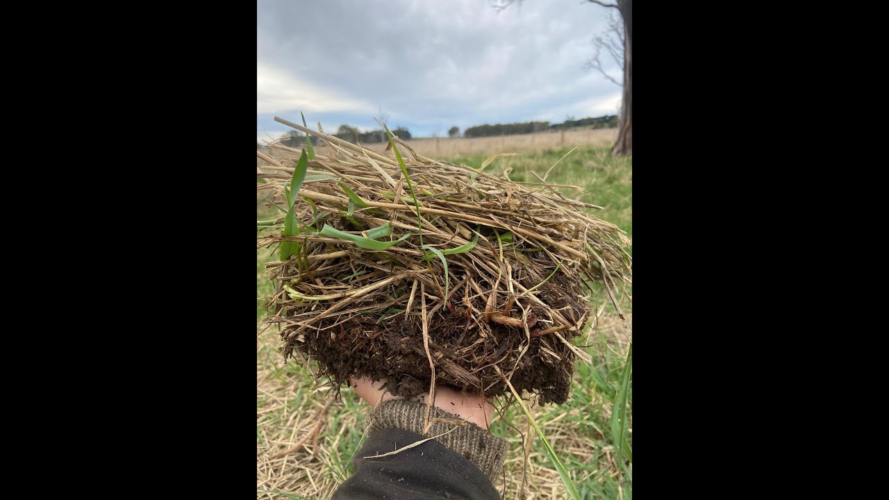 Introduction to Landscape Function Grazing