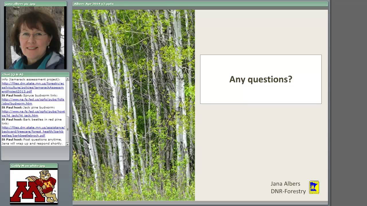Minnesota Forest Health Update: What's in your woods and what's coming