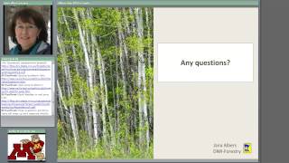 Minnesota Forest Health Update: What's in your woods and what's coming