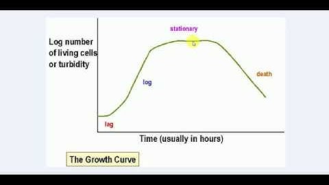Microbiology , 13  , BACTERIAL GROWTH CURVE