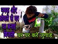 कोयले और नमक से घर पर बिजली कैसे बनाएं | बहुत आसानी से ‌| how to make a bijali jugaad experiment