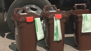 New city composting program offers new way to dispose of food scraps