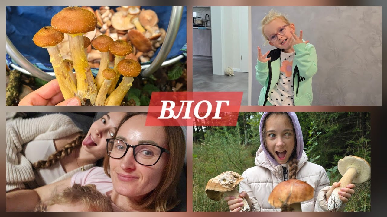 ВЛОГ:КАК МЫ ЗА ГРИБАМИ ХОДИЛИ/ШОППИНГ/НОВЫЕ ОЧКИ ДЛЯ МИШЕЛЬ 
