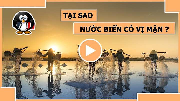 Nước biển chiếm bao nhiêu phần trăm trên trái đất năm 2024